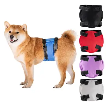 Высококачественные шорты для подгузников для домашних собак, защитные физиологические штаны для собак-кобелей для маленьких средних собак, Тедди Чихуахуа Изображение